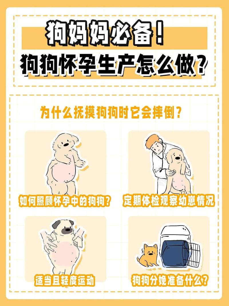 雪纳瑞怀孕多久生产