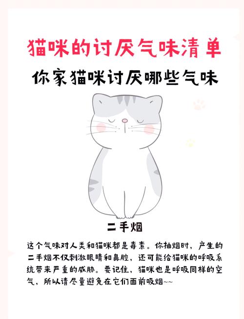 猫咪不喜欢的六种气味,有的话会让它们远离你