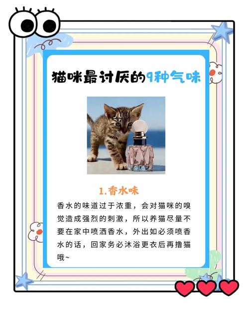猫讨厌什么味道