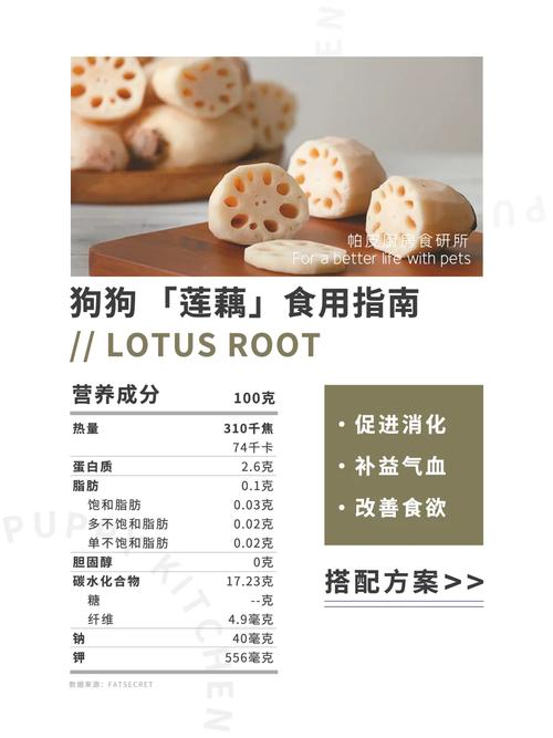 狗狗可以吃莲藕吗
