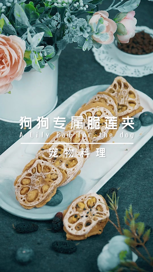 狗狗为什么爱吃藕