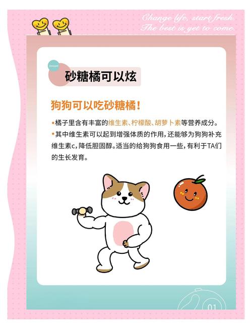 狗能不能吃橙子?