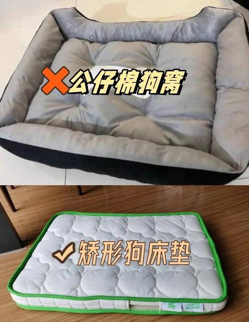 狗窝选什么材质的比较好?