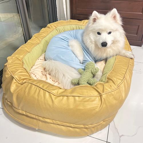 狗喜欢封闭还是开放式狗窝