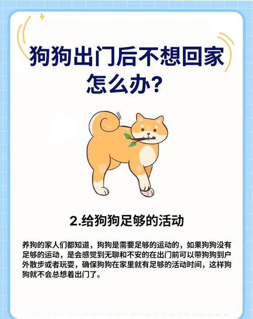 狗狗在外面玩嗨了,不愿意回家怎么办?