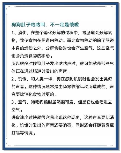 狗狗肚子痛的表现和处理方法,快速缓解狗狗肚子疼