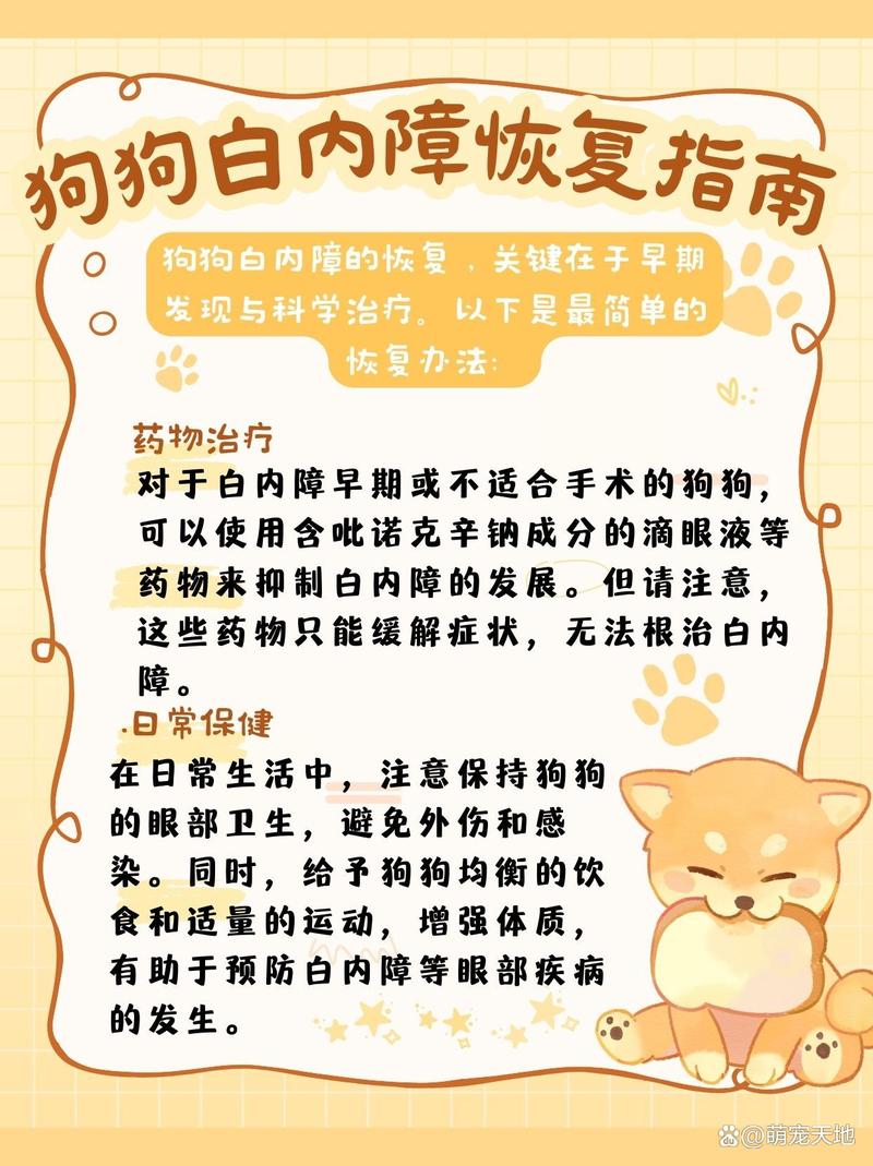 狗狗白内障可以治好吗