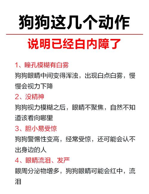 狗狗患白内障怎么办