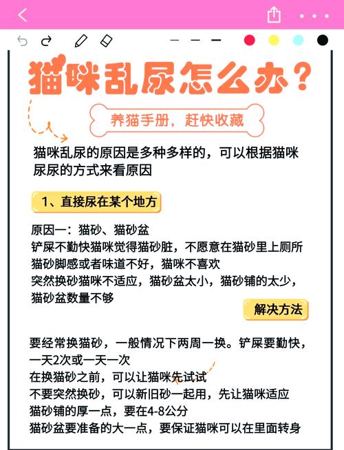 如何防止猫咪乱尿