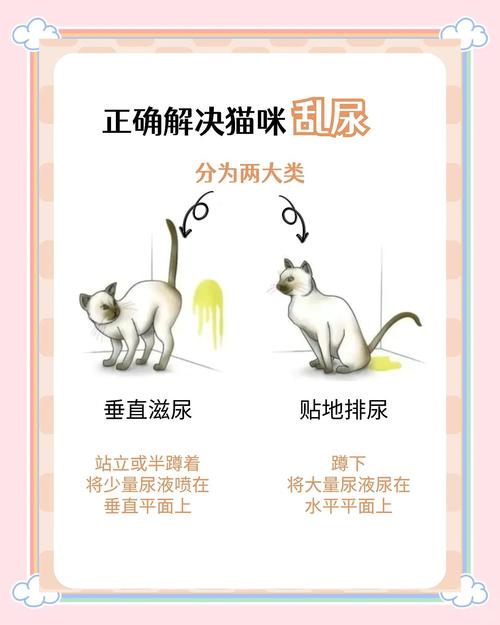 猫咪老乱尿怎么办