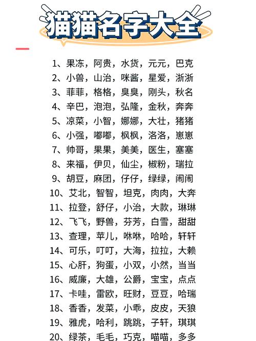 有哪些适合公猫咪的高贵洋气的名字?