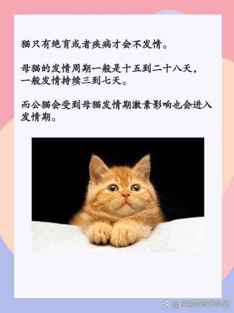 猫咪一般几个月的时候发情