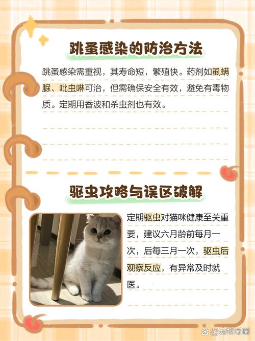 猫咪身上黑点原因