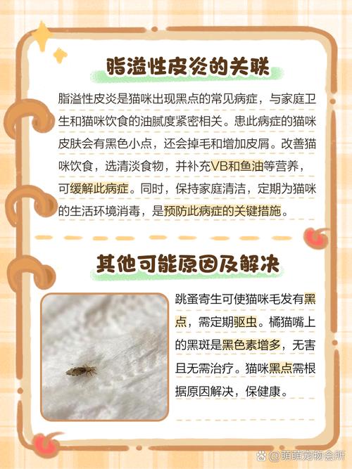 猫咪身上有黑色的点点是什么东西