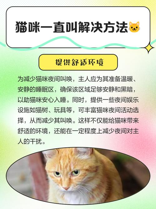 猫咪快生了一直叫怎么办