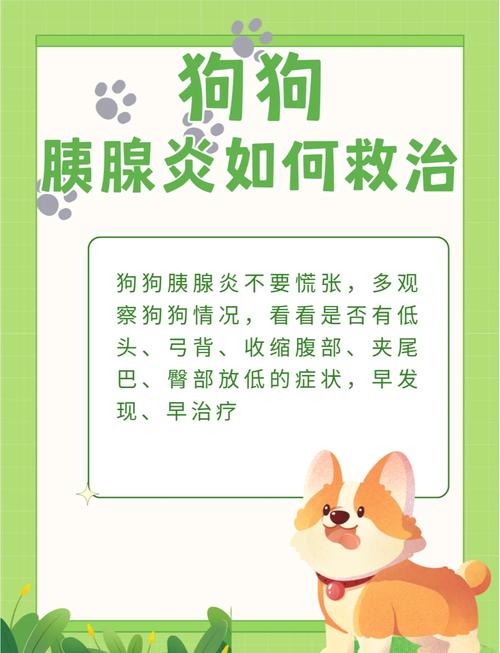 狗狗得胰腺炎是怎么回事