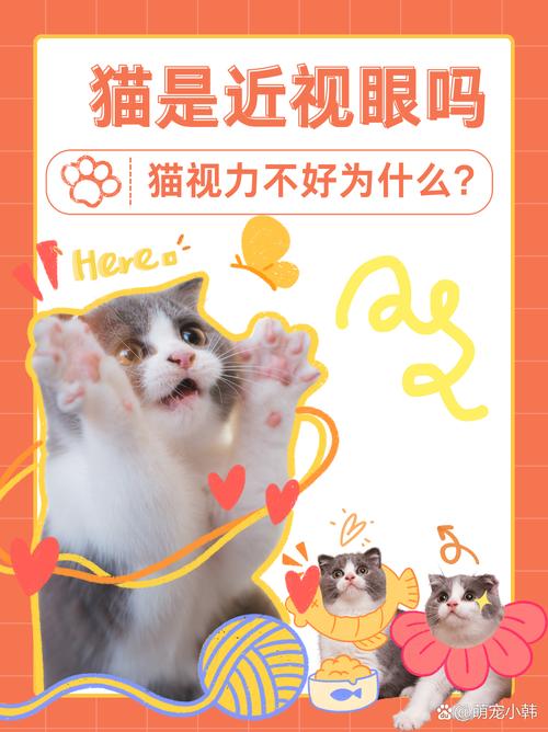 猫咪是近视眼吗
