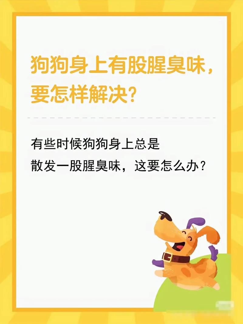 如何去除狗狗身上的味道?