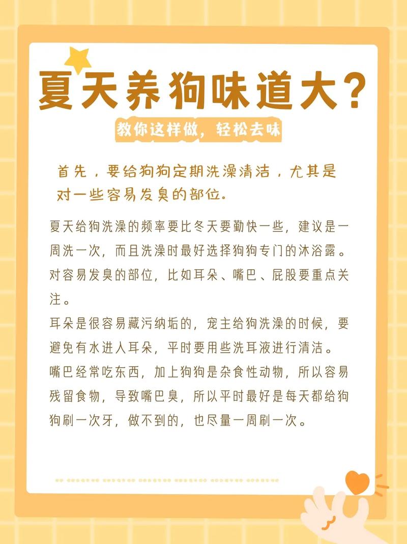 如何去除狗狗身上的味道