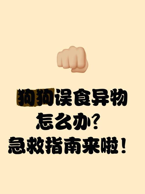 狗狗误食虫子怎么办