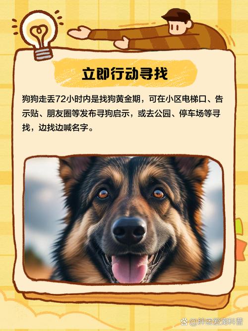 狗狗走丢最迟多久会自己回来