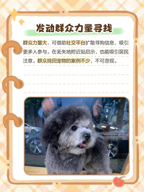 狗狗走丢了,会自己回来吗??