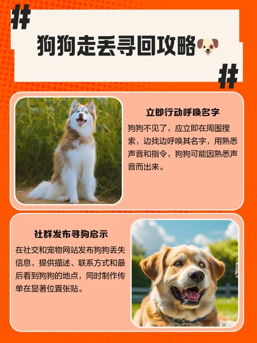 狗狗丢了,差不多在十公里外丢的,是坐车去的,还有可能回来吗?