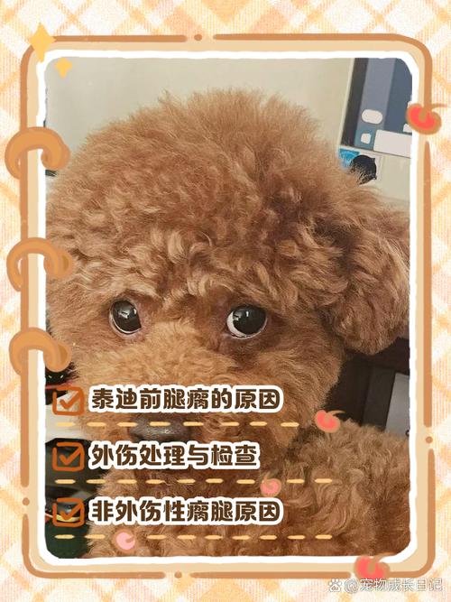 小狗的脚莫名其妙的瘸了