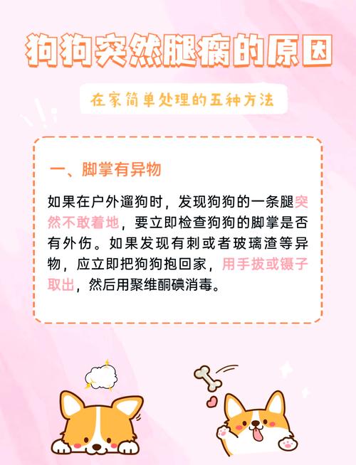 狗突然一只脚瘸了怎么办啊