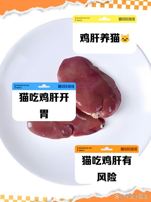 猫能不能吃水煮鸡皮