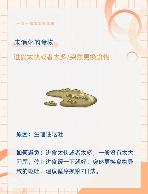 狗狗能吃软糖吗为什么会吐