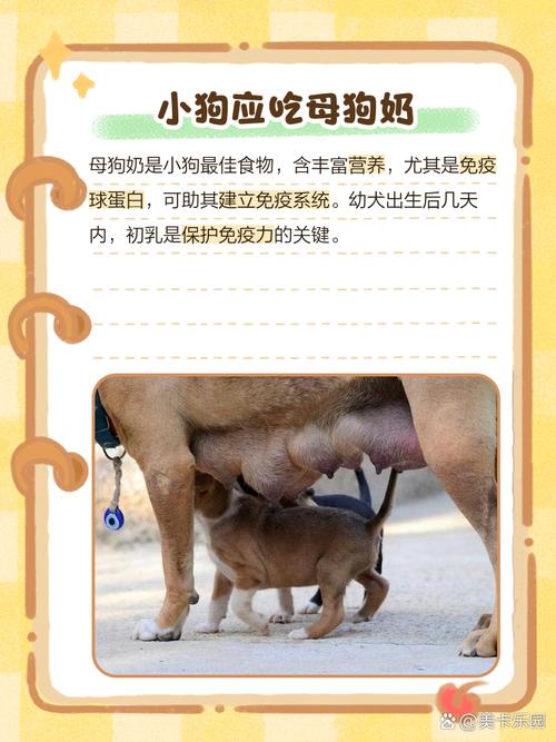 土狗能不能喝纯牛奶