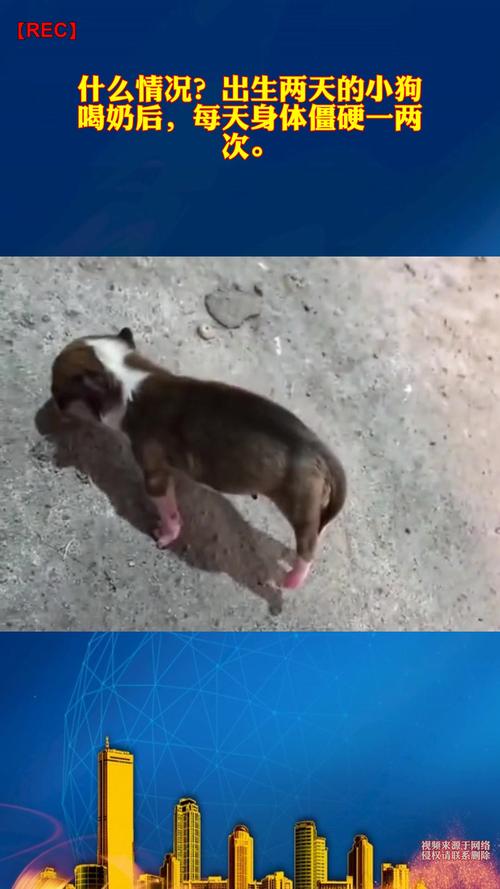 我家狗狗3个月特别爱喝牛奶。而且不拉稀。可以继续喂吗?