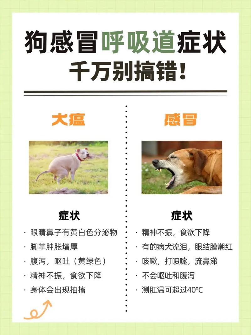 狗感冒不吃药自己会好嘛