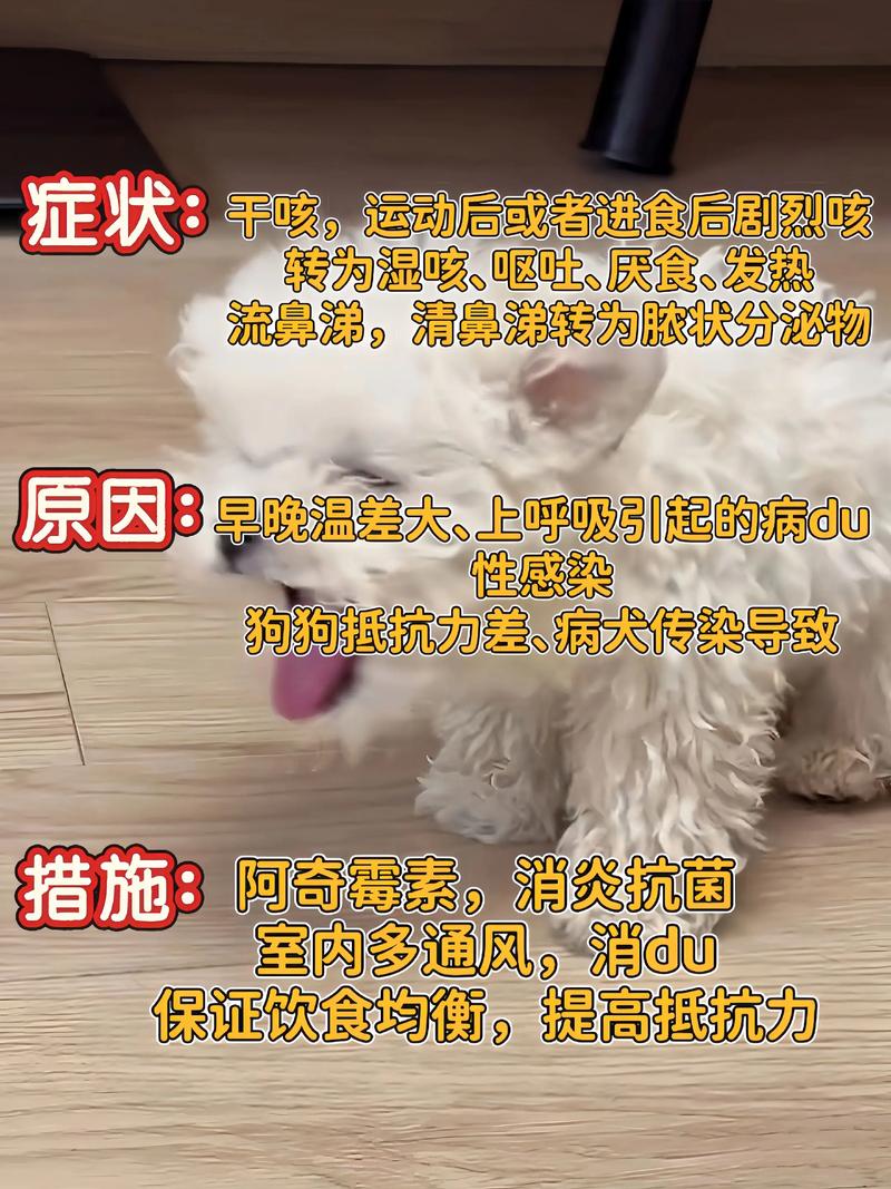 狗狗咳嗽不吃药自己会好吗