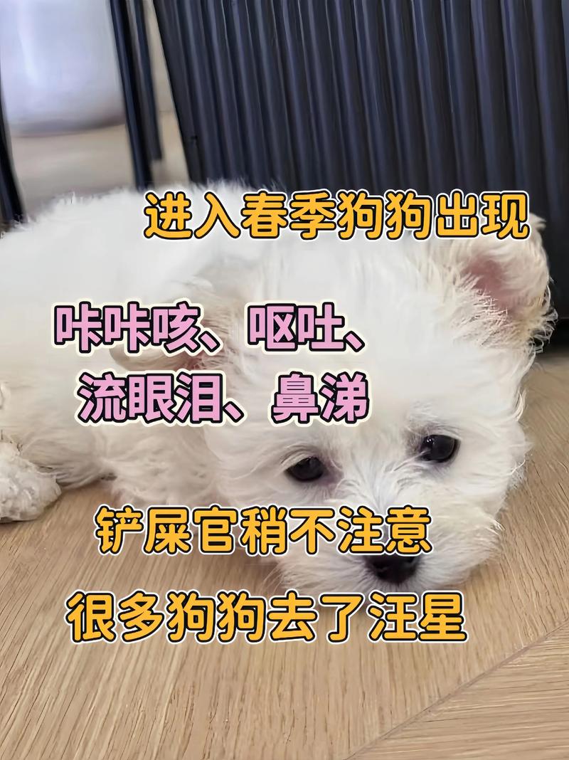狗感冒了不吃药大概几天会好
