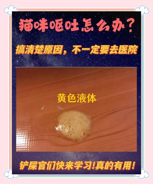 猫有绦虫有什么症状