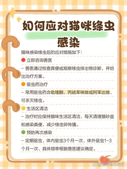 猫咪感染绦虫的症状都有哪些?