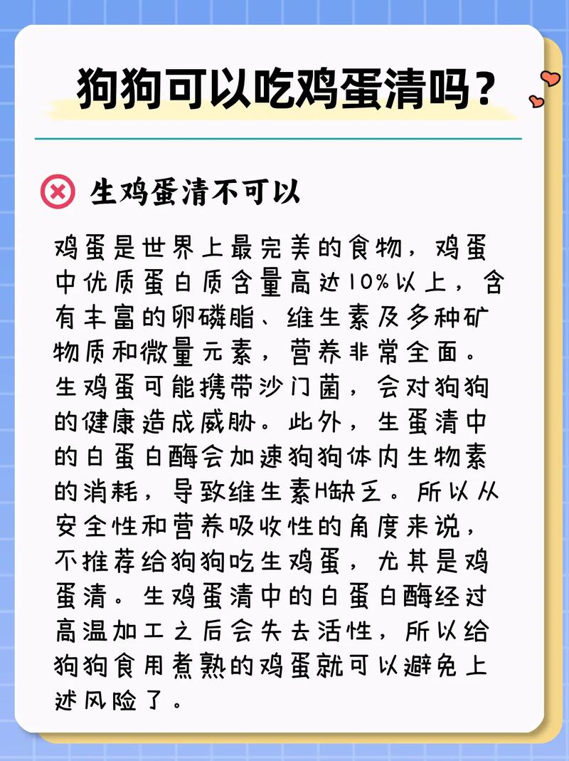 小狗可以吃鸡蛋吗