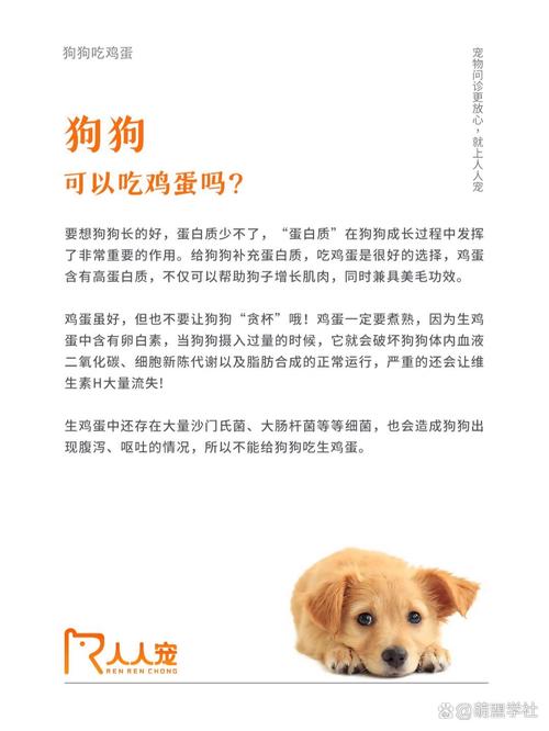 狗狗可以吃鸡蛋吗