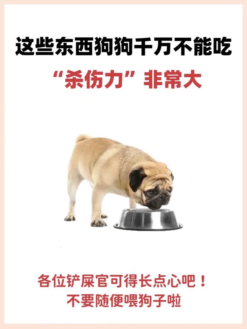 喝蜂蜜水对狗狗有什么利弊