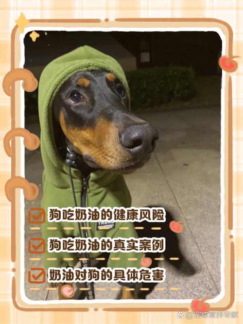 狗狗吃了奶油会死吗