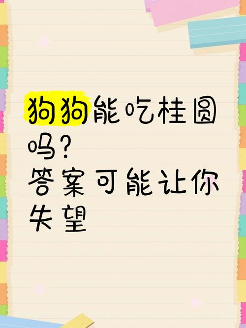 狗狗平时能吃桂圆吗