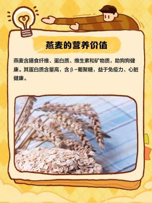 狗狗除了狗粮,最适合吃的5种“人食”,现在知道还不晚