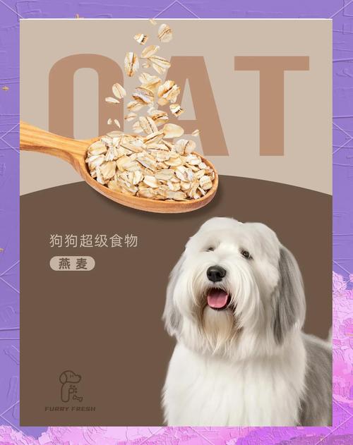 狗狗可以吃燕麦片吗