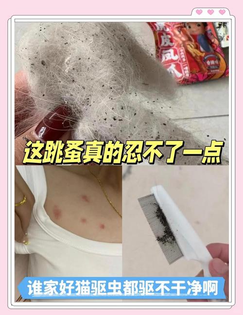 猫身上有跳蚤用什么药