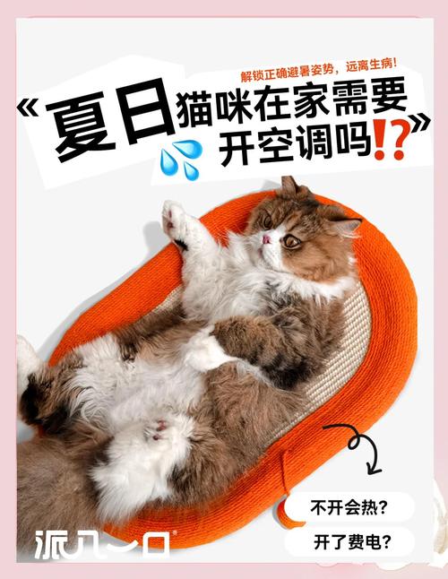 猫咪吹了空调会吐吗