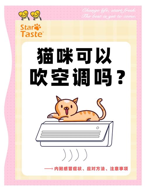 猫咪长期吹空调会怎么样?