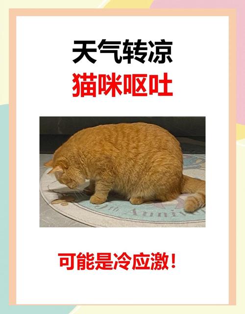 猫咪吹空调会怎么样?