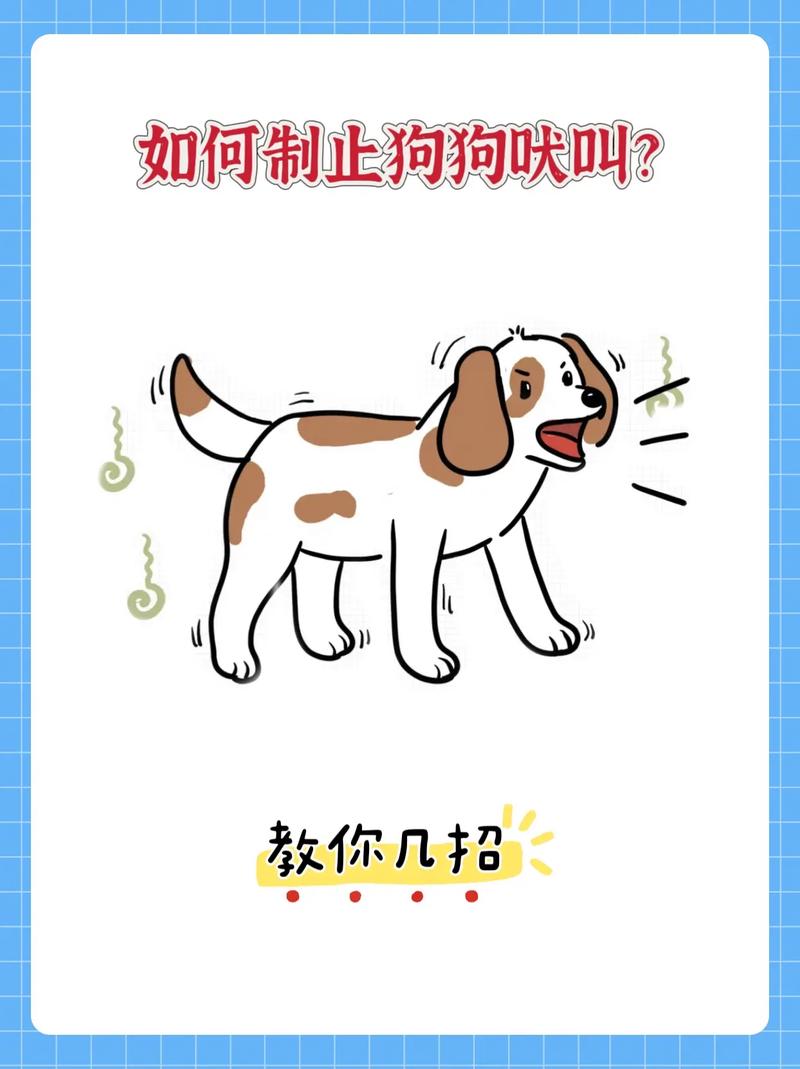 如何训练狗狗吠叫